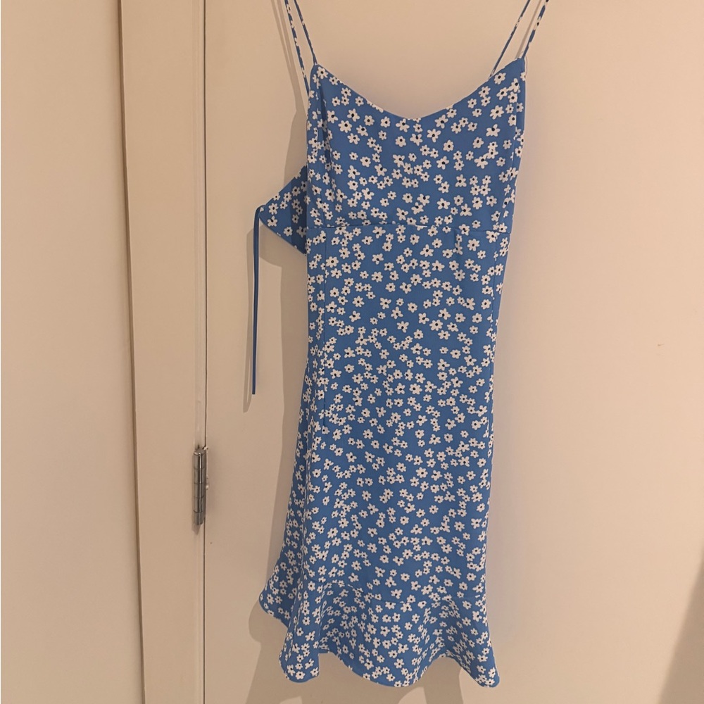 Zara Blue and White Flounce Floral Dress